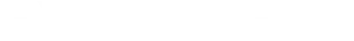 GT3 Exo Shield film logo
